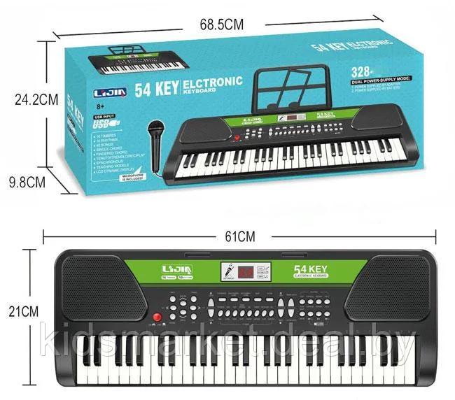 54 Key Electronic Keyboard Piano with Microphone-32809 - Evergreen Wholesale