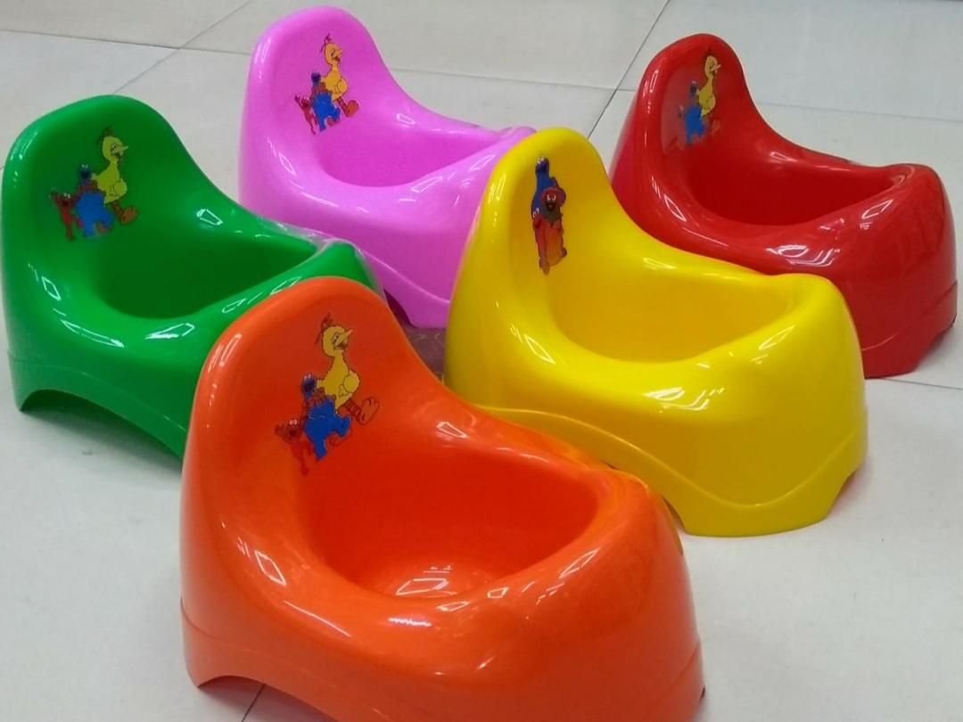 Evergreen Potty Seat - Evergreen Wholesale